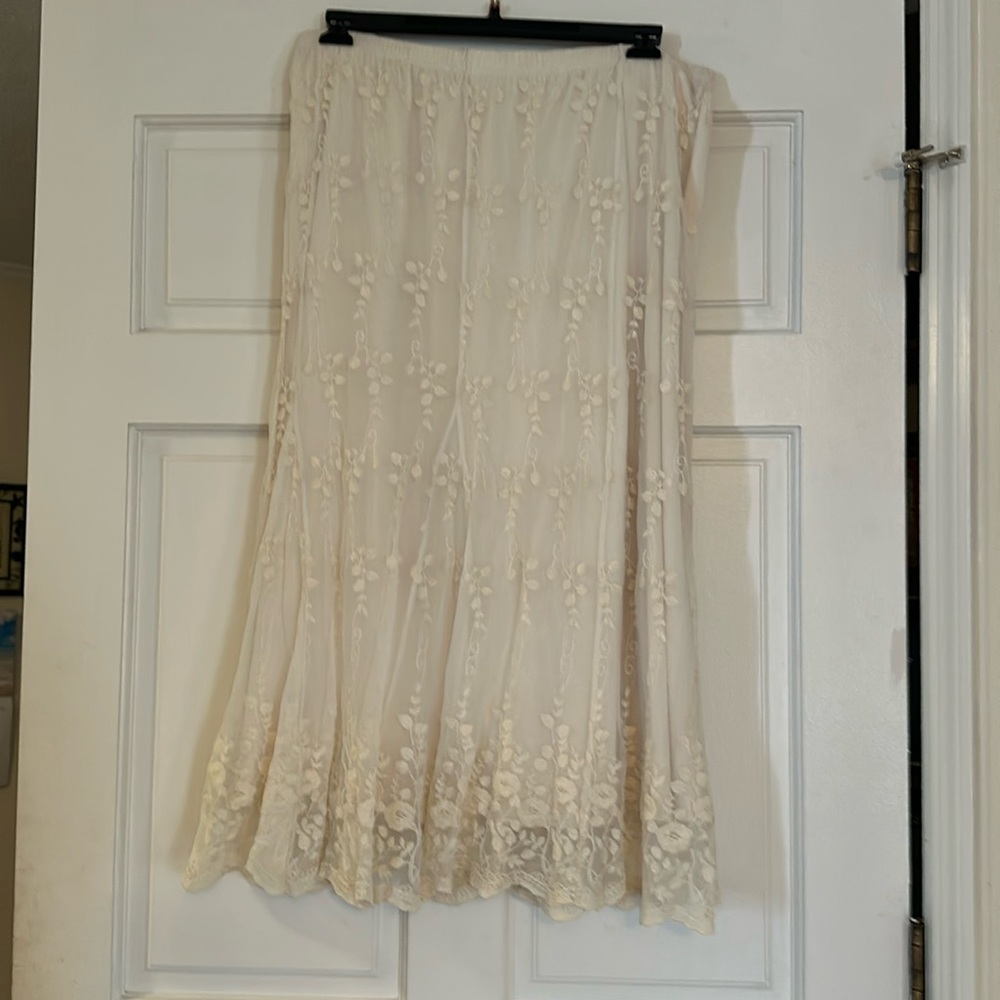 Sheer lace skirt with lining and detailed embroidery